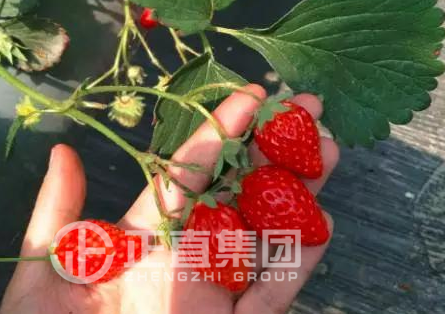 pg电子游戏试玩(中国)官方网站